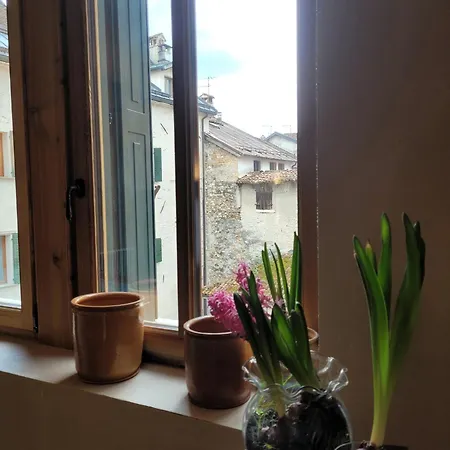 Гостевой дом Dimora Storica Zacchi D'arrigo